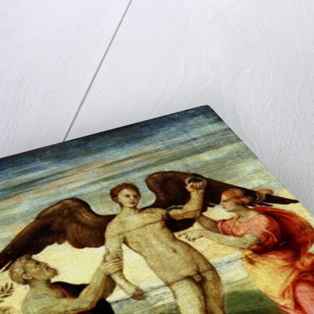 Icarus by Andrea del Sarto