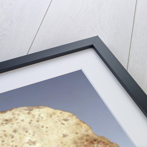 Fragment of a wall painting depicting an acrobatic dancer entertaining at court, New Kingdom by Egyptian 19th Dynasty