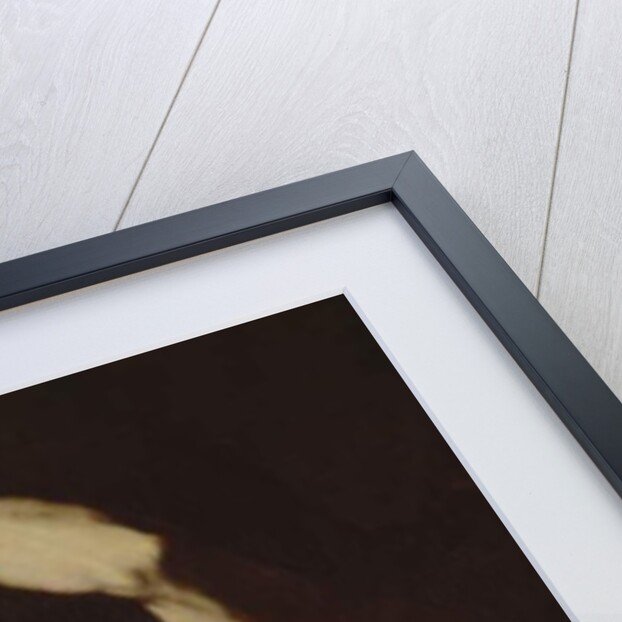 St Sebastian by Luca Giordano