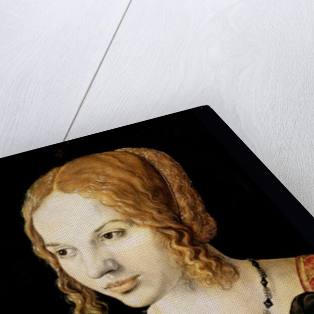 Young Venetian Woman by Albrecht Dürer or Duerer