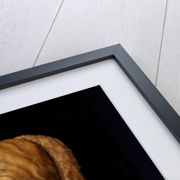 Young Venetian Woman by Albrecht Dürer or Duerer