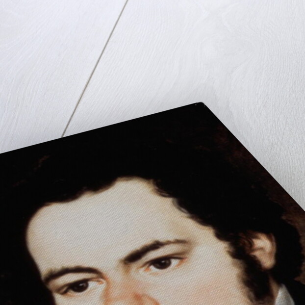 Franz Peter Schubert by Austrian School
