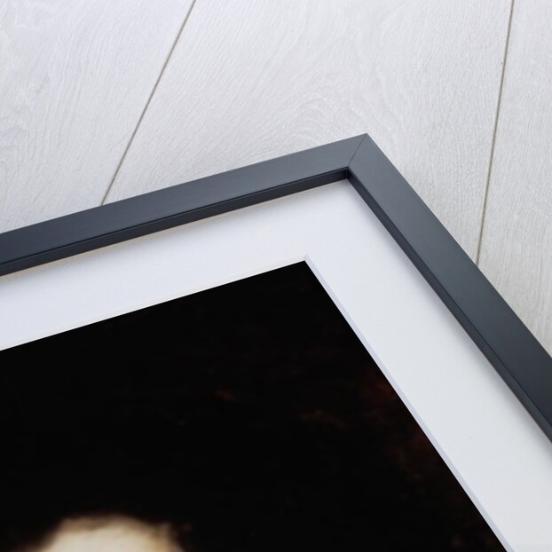 Franz Peter Schubert by Austrian School