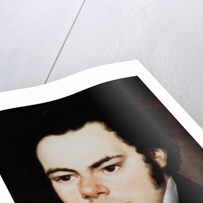 Franz Peter Schubert by Austrian School