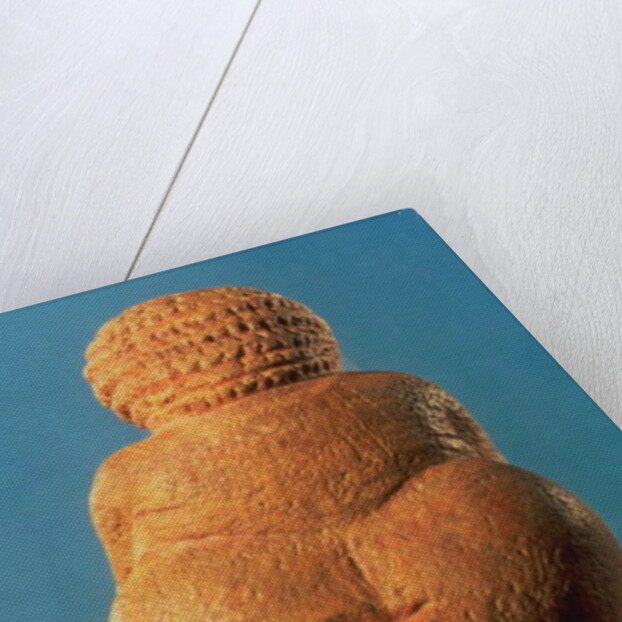 The Venus of Willendorf, 30000-25000 BC by Prehistoric Prehistoric