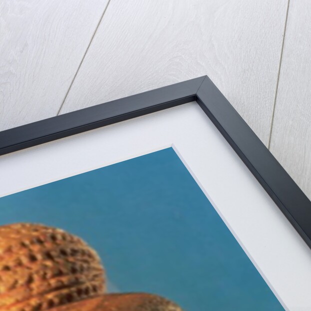 The Venus of Willendorf, 30000-25000 BC by Prehistoric Prehistoric