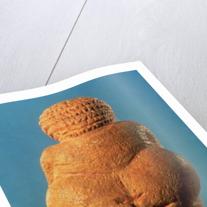 The Venus of Willendorf, 30000-25000 BC by Prehistoric Prehistoric
