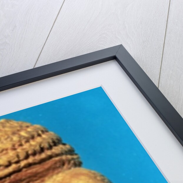 The Venus of Willendorf, side view, c.30000-18000 BC by Prehistoric Prehistoric