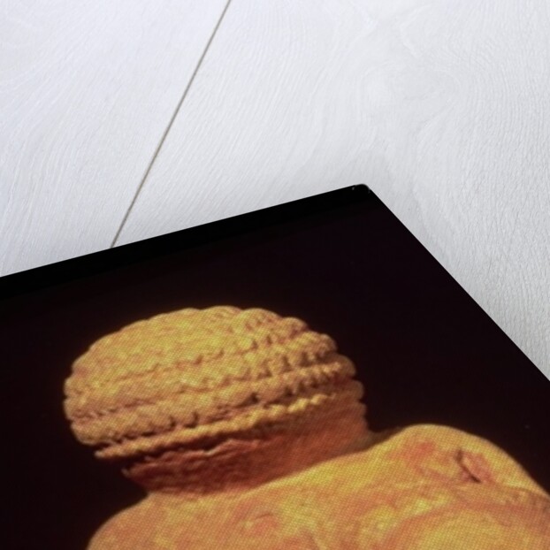 The Venus of Willendorf, 30000-25000 BC by Prehistoric Prehistoric