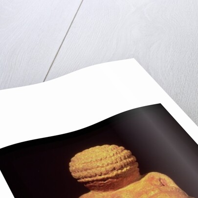 The Venus of Willendorf, 30000-25000 BC by Prehistoric Prehistoric