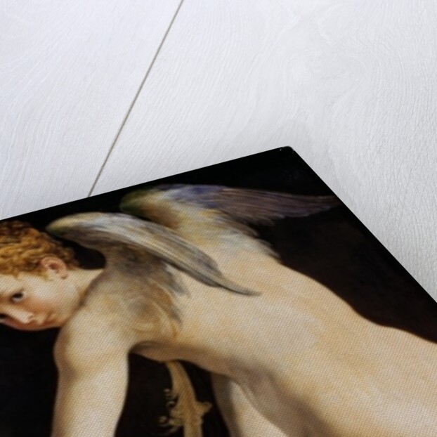 Cupid Carving a Bow, 1533/34 by Parmigianino