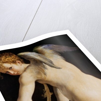 Cupid Carving a Bow, 1533/34 by Parmigianino