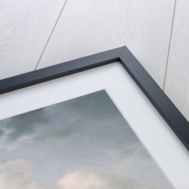 Naval Review, 1649 by Simon Jacobsz. Vlieger