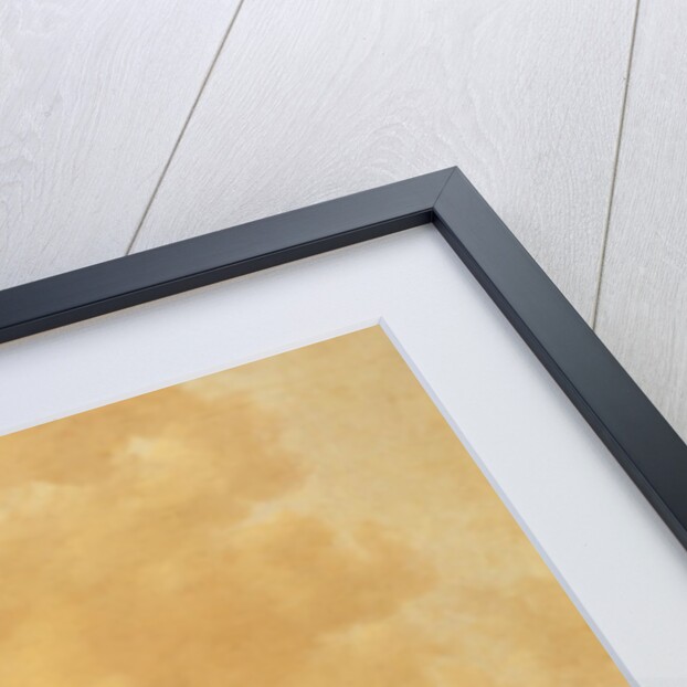 View of the Old Maas, Dordrecht by Jan Josephsz van Goyen