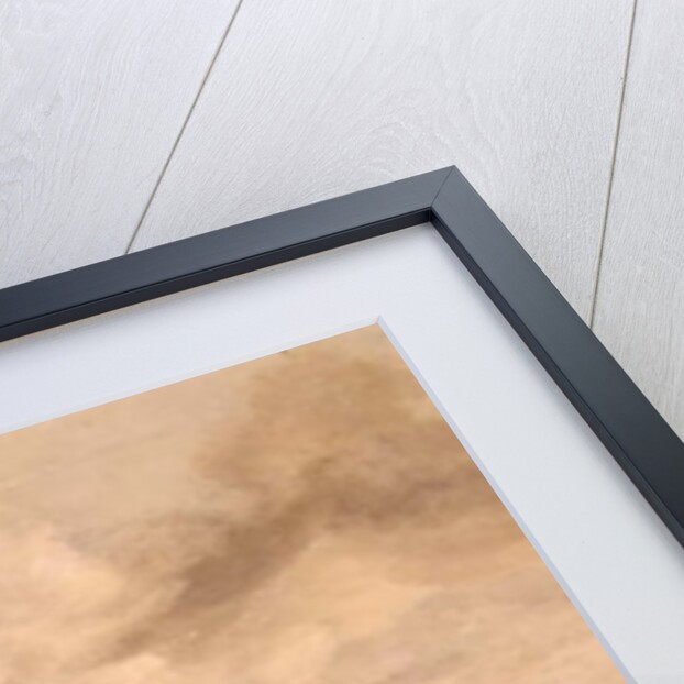 Calm Sea by Hendrick Dubbels