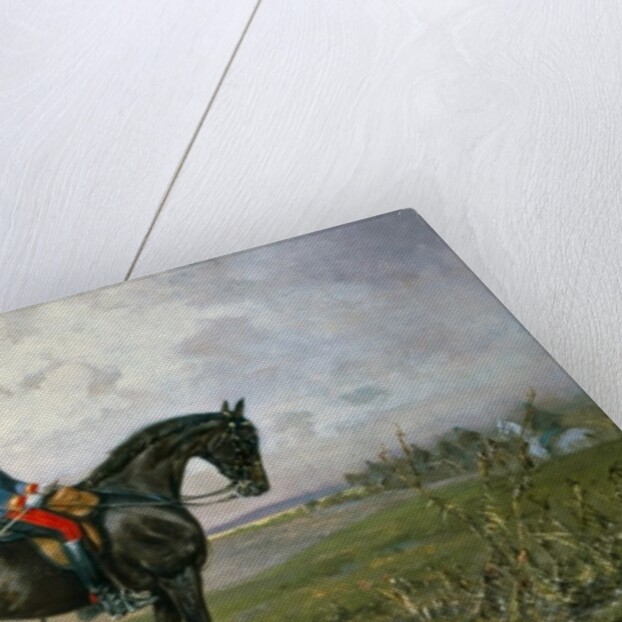 Emperor Franz Joseph I on his Austrian horse, 1898 by Julius von Blaas