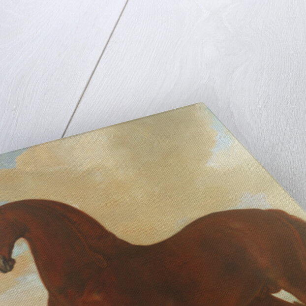 The Bay Stallion at the Eisgruber Stud by Johann Georg Hamilton