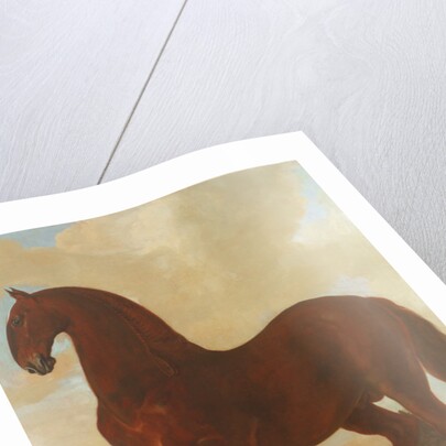 The Bay Stallion at the Eisgruber Stud by Johann Georg Hamilton