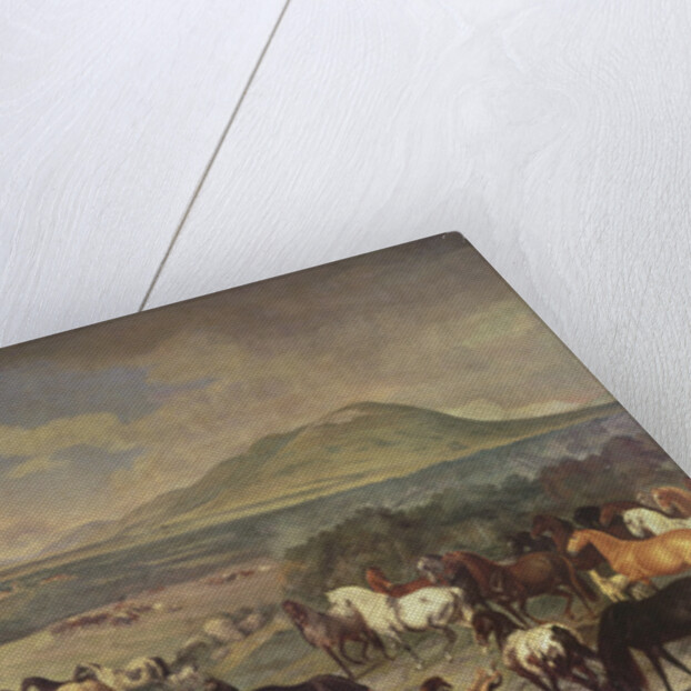 The Imperial Stud with Lipizzaner Horses by Johann Georg Hamilton