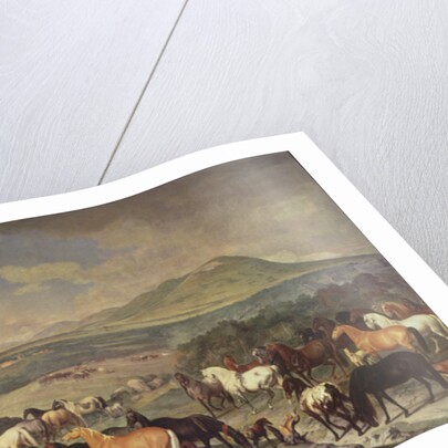 The Imperial Stud with Lipizzaner Horses by Johann Georg Hamilton
