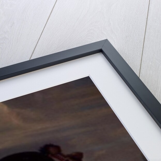 The black horse 'Curioso' performing a Capriole by Johann Georg Hamilton