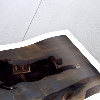 The black horse 'Curioso' performing a Capriole by Johann Georg Hamilton