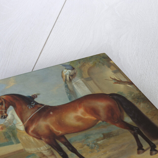 The bay horse' Sincero' by Johann Georg Hamilton