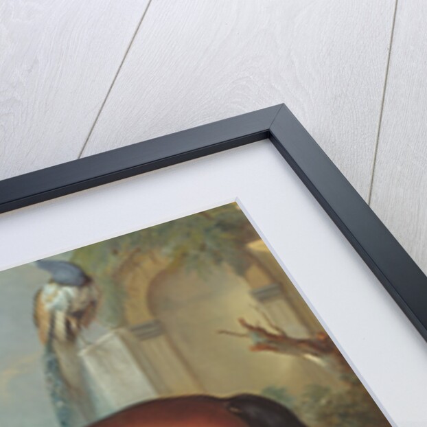 The bay horse' Sincero' by Johann Georg Hamilton