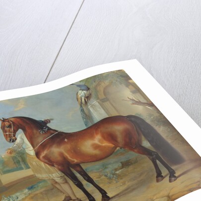 The bay horse' Sincero' by Johann Georg Hamilton