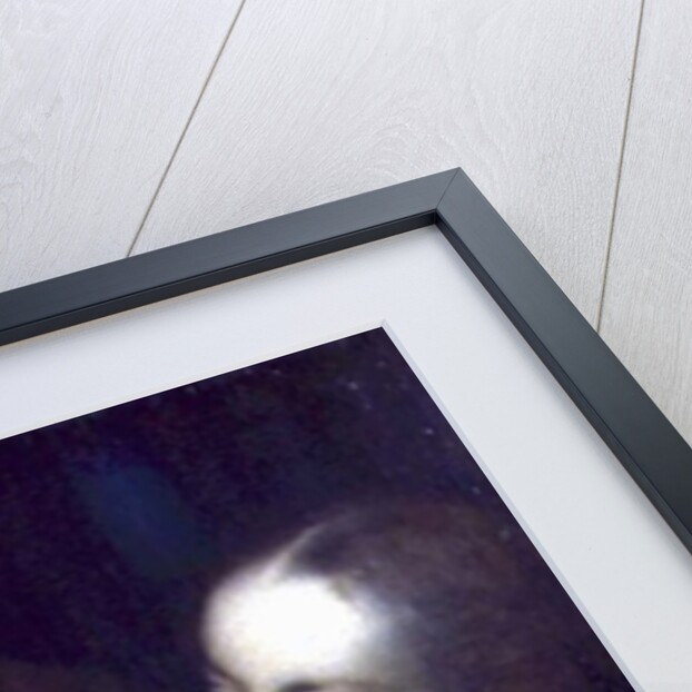 A Laughing Couple, self portrait of the artist with his wife, 1596 by Johann or Hans von Aachen