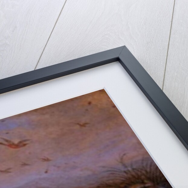 Creatures from the four continents in a landscape with a view of Canton in the background by Ferdinand van Kessel