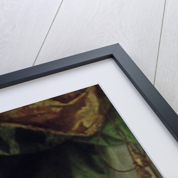 Emperor Charles VI, c.1730 by Johann-Gottfried Auerbach