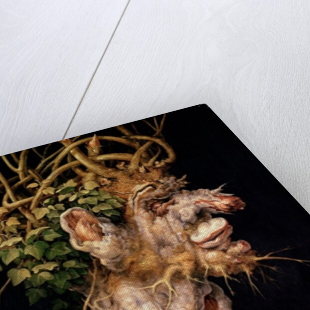 Winter by Giuseppe Arcimboldo