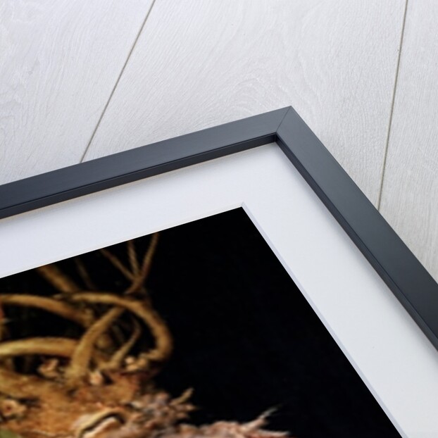 Winter by Giuseppe Arcimboldo