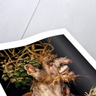 Winter by Giuseppe Arcimboldo