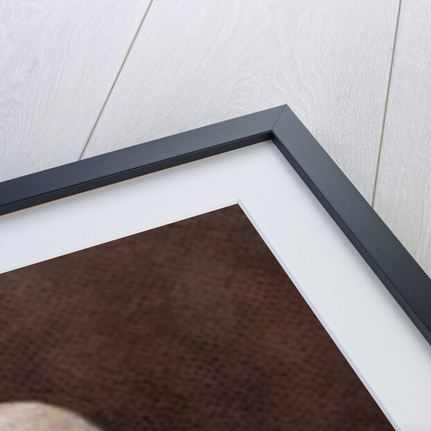 Wolfgang Amadeus Mozart, c.1780 by Johann Nepomuk della Croce