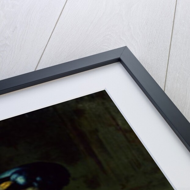 Francis I Holy Roman Emperor and husband of Empress Maria Theresa of Austria, by Martin van Mytens or Meytens