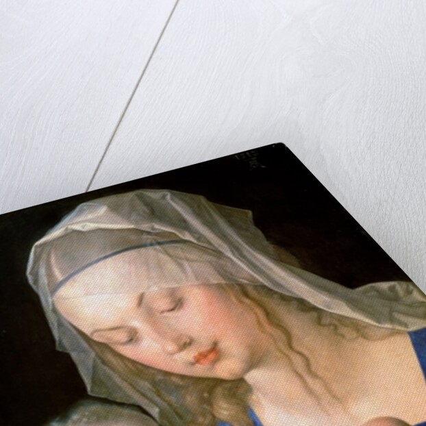 Virgin and child holding a half-eaten pear, 1512 by Albrecht Dürer or Duerer