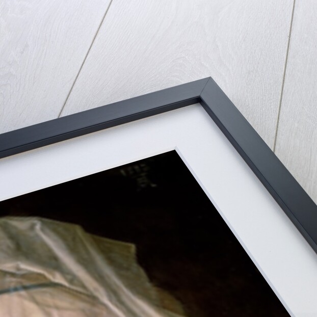 Virgin and child holding a half-eaten pear, 1512 by Albrecht Dürer or Duerer