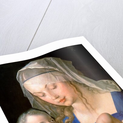 Virgin and child holding a half-eaten pear, 1512 by Albrecht Dürer or Duerer