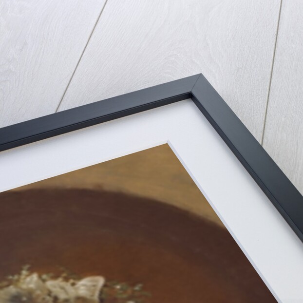 Katharina Schratt, mistress of Emperor Franz Joseph of Austria, 1880 by Anonymous Anonymous