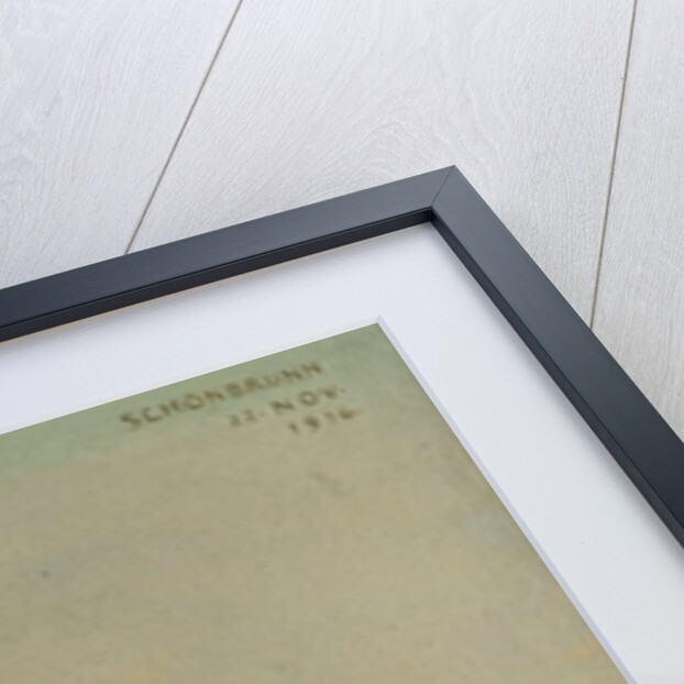 Emperor Franz Joseph I of Austria on his death-bed, 1916 by Franz von Matsch