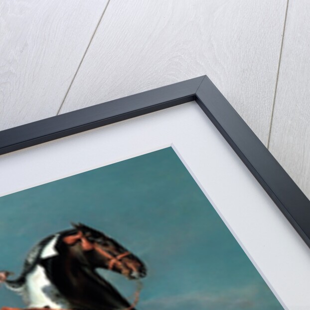 The Piebald Horse 'Cehero' Rearing, 1721 by Johann Georg Hamilton