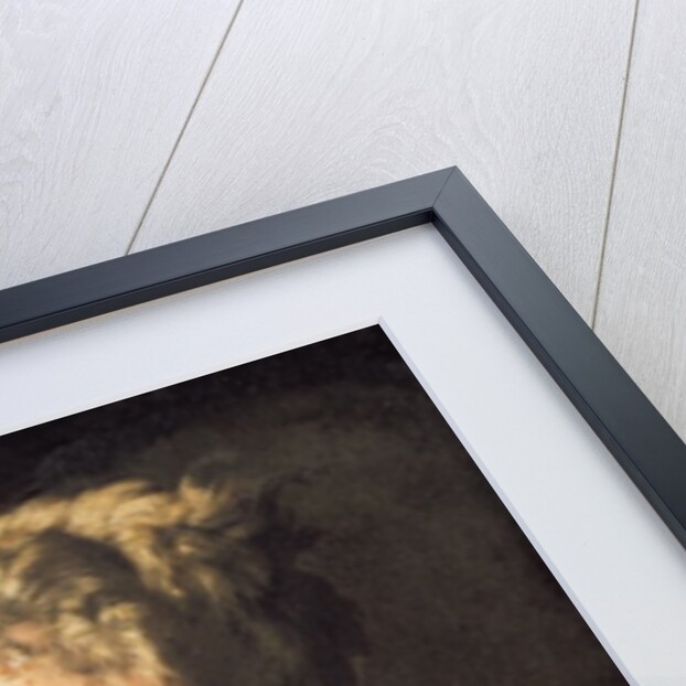 St. Jerome by Luca Giordano