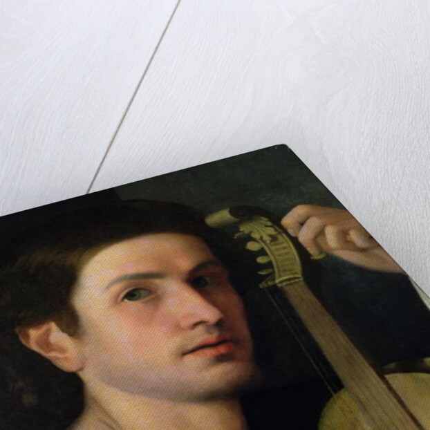 The Lyre, c.1515 by Italian School