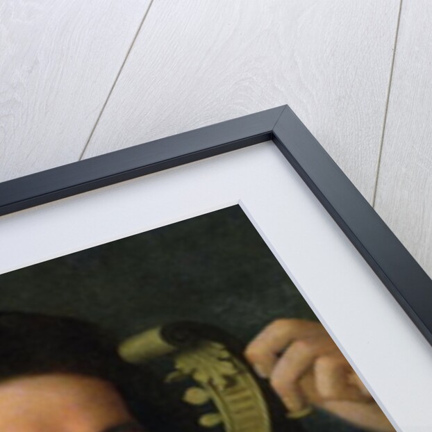 The Lyre, c.1515 by Italian School