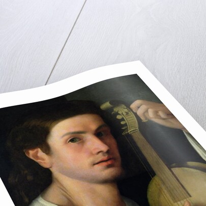 The Lyre, c.1515 by Italian School