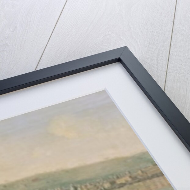 View of Naples by Gaspar Butler