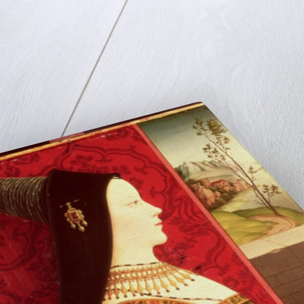 Mary of Burgundy daughter of Charles the Bold, Duke of Burgundy, wife of Emperor Maximilian I of Austria and mother of King Philip I of Spain by Ernst Maler