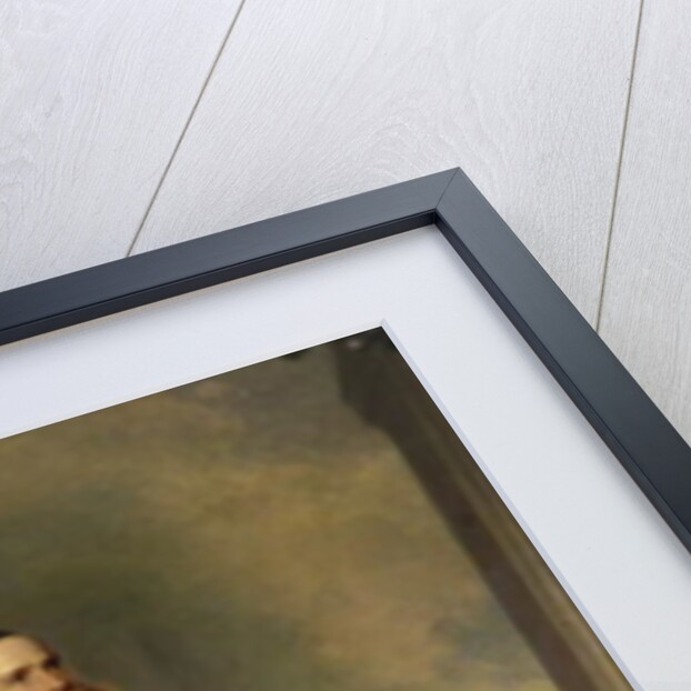 Franz Joseph I by Franz Xaver Winterhalter